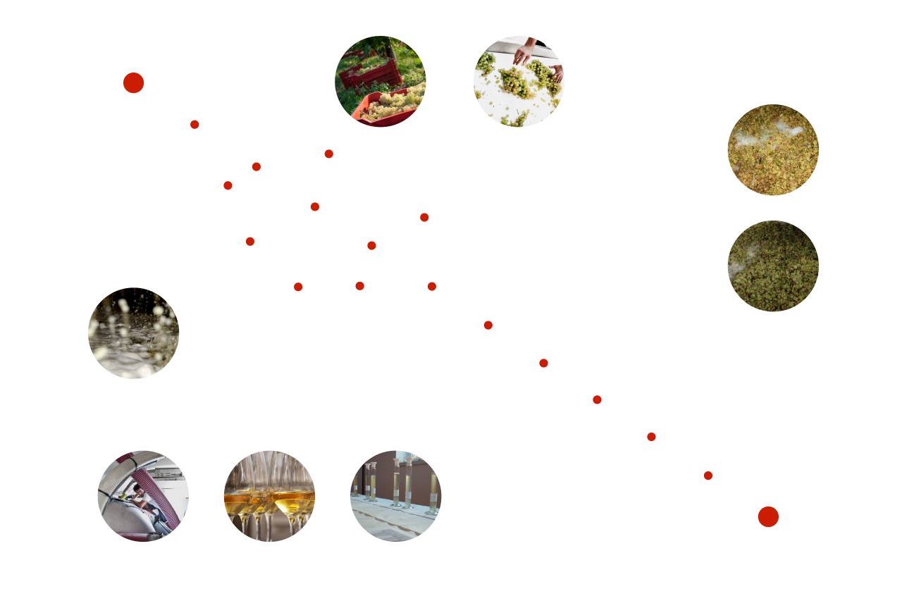 metodo-schema