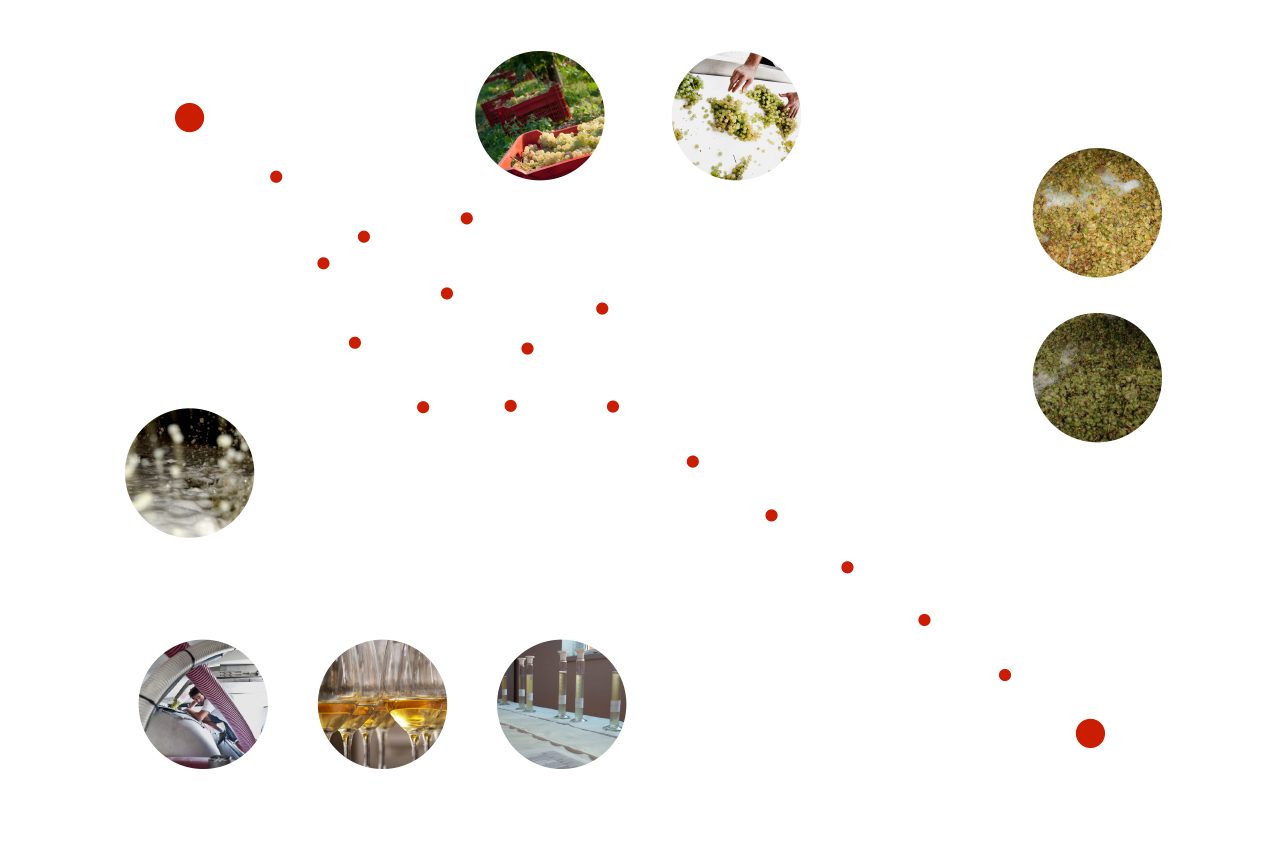 metodo-schema
